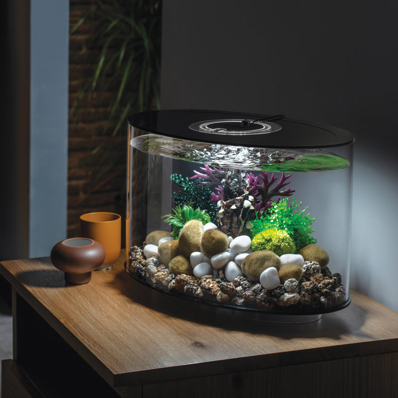 biOrb Loop 15 Aquarium With Mcr Light 4 Gallon, Black Wayfair Canada